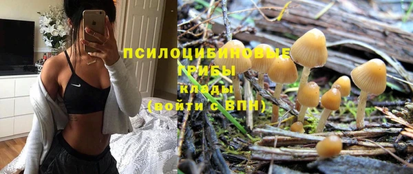 дживик Алексеевка
