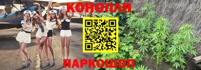 прущие грибы Кунгур