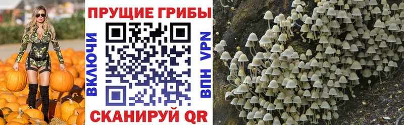 Галлюциногенные грибы Magic Shrooms  ссылка на мегу как зайти  Феодосия 
