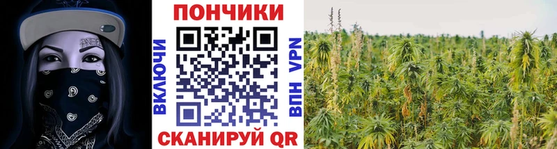 Канабис Bruce Banner Феодосия
